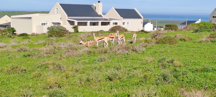 0 Bedroom Property for Sale in Hoogland Western Cape